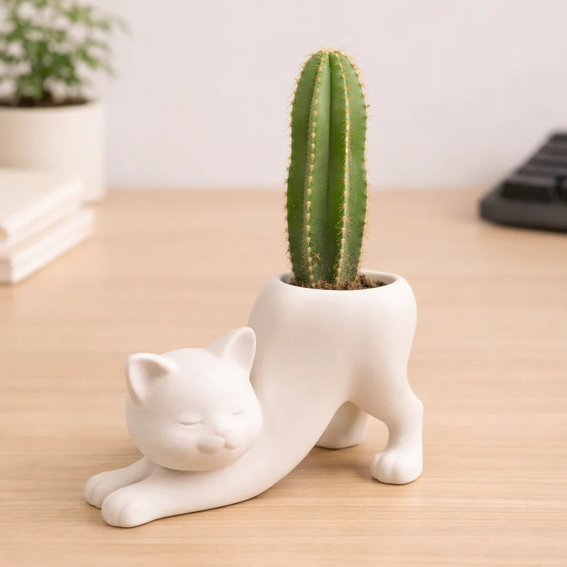 Lazy Cat Planter