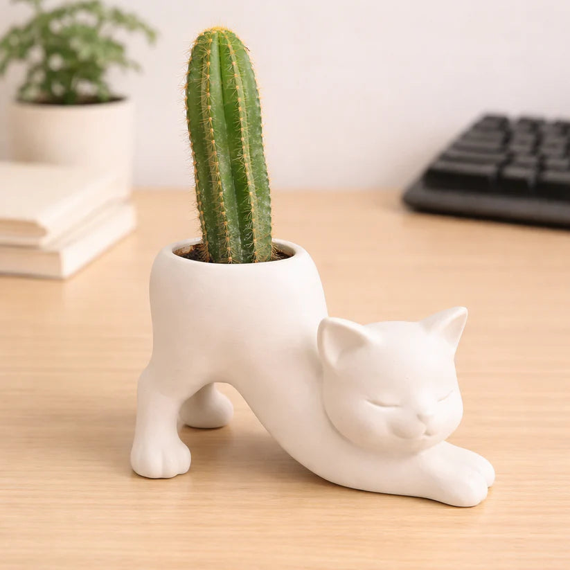 Lazy Cat Planter