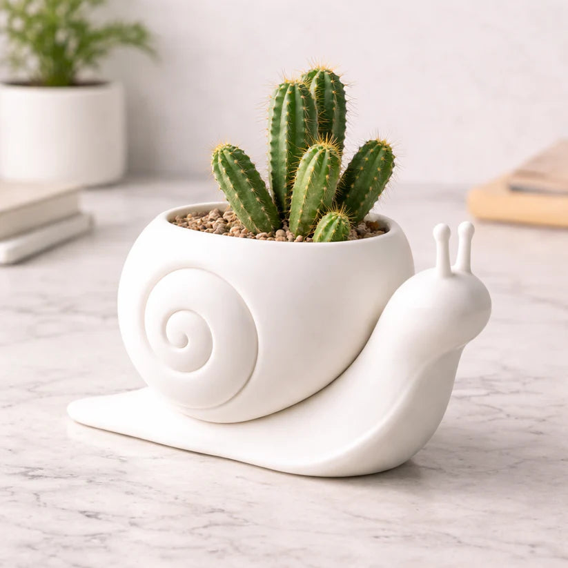 Snail Catus Planter