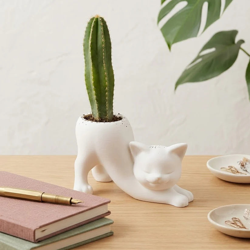 Lazy Cat Planter