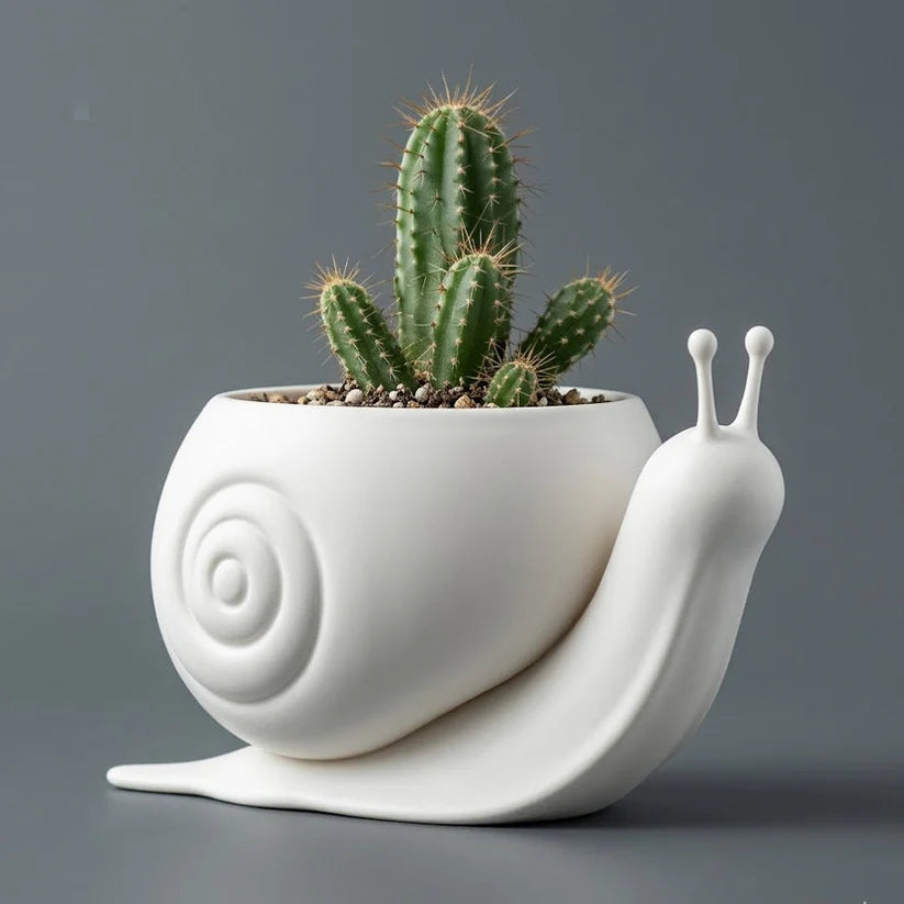 Snail Catus Planter